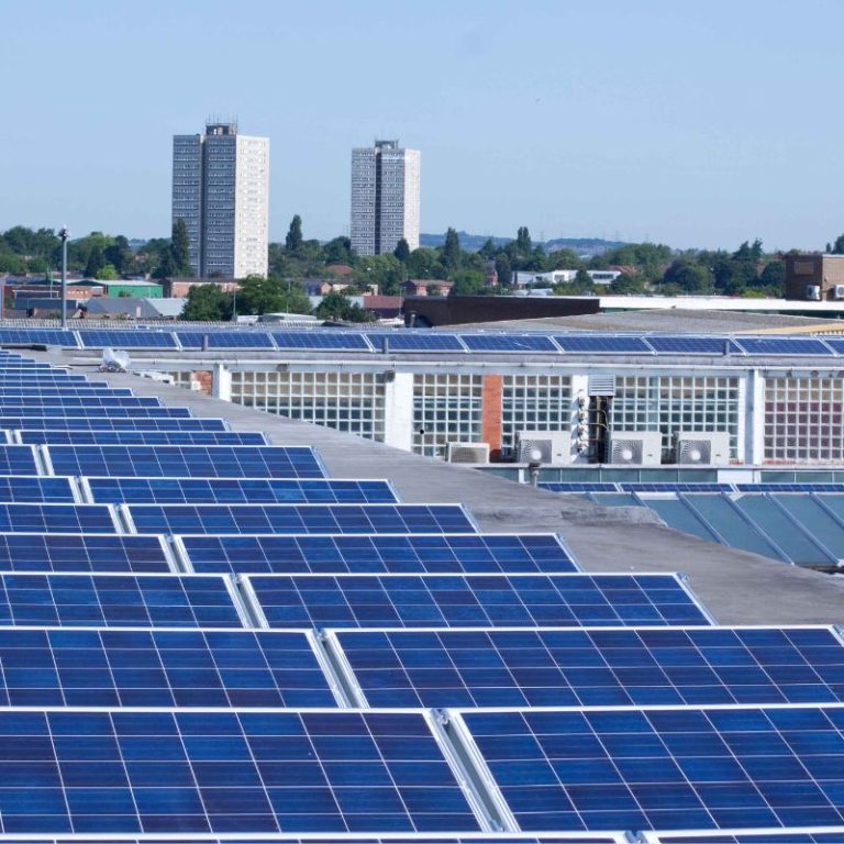 paneles solares empresas linares