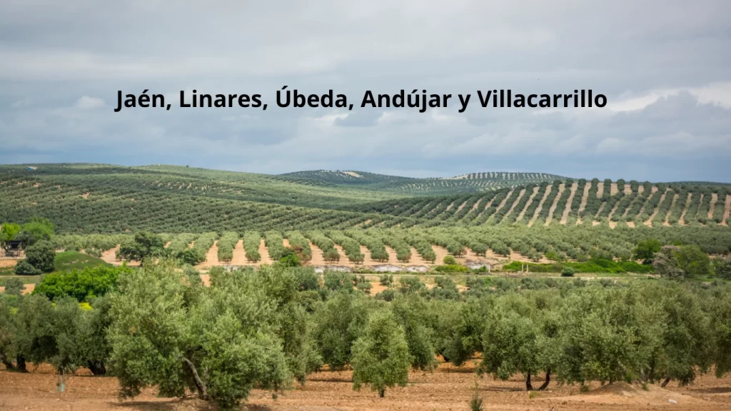 placas solares Jaén, Linares, Úbeda, Andújar y Villacarrillo