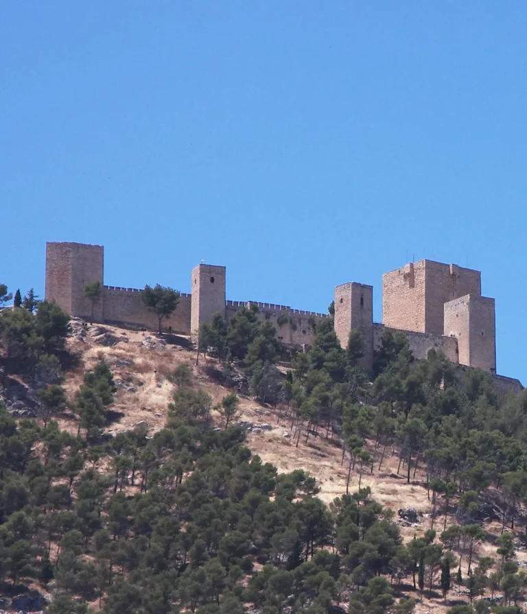 Instaladores de placas solares en Jaén
