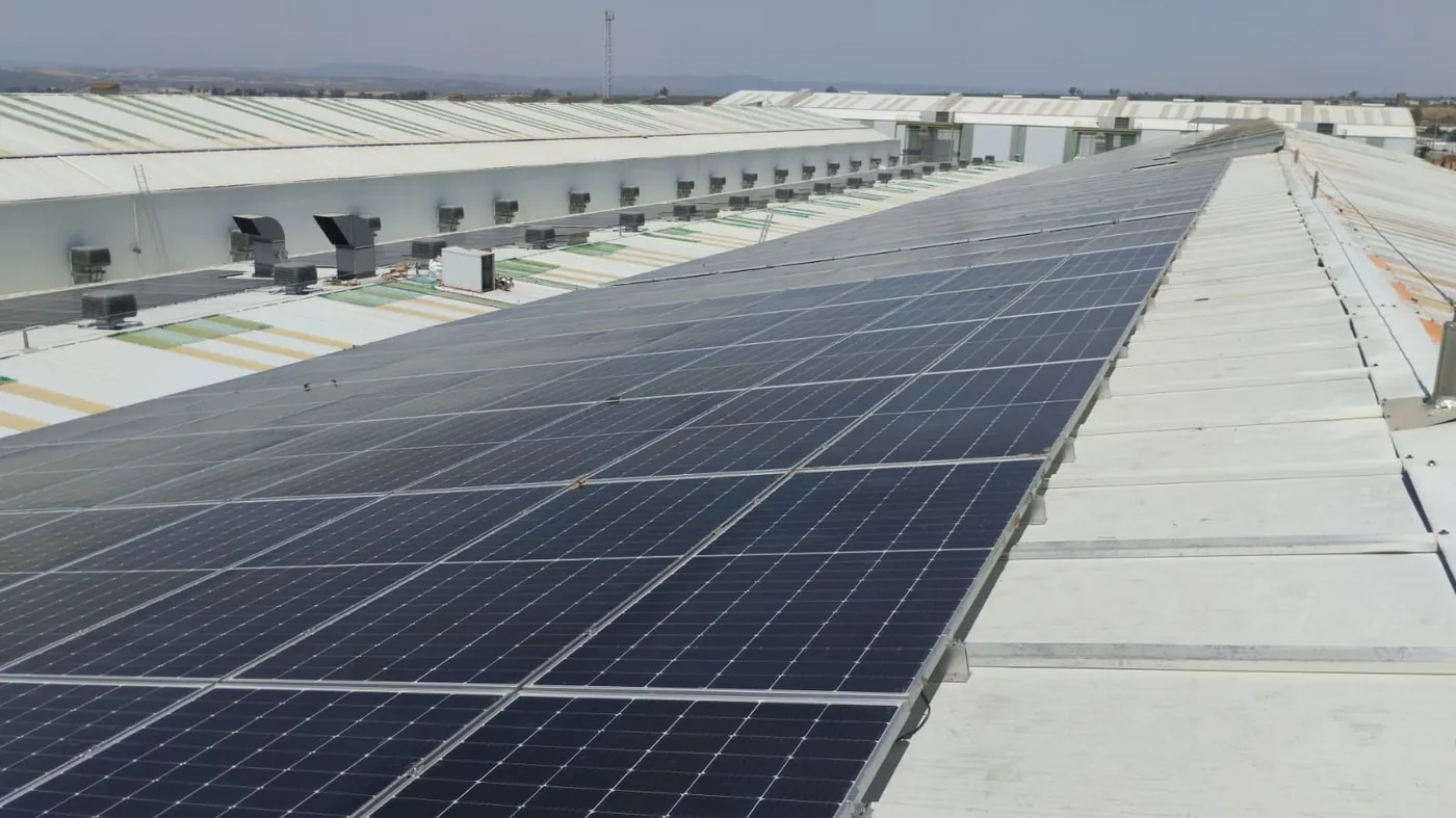 Detalle de paneles solares sobre cubierta industrial